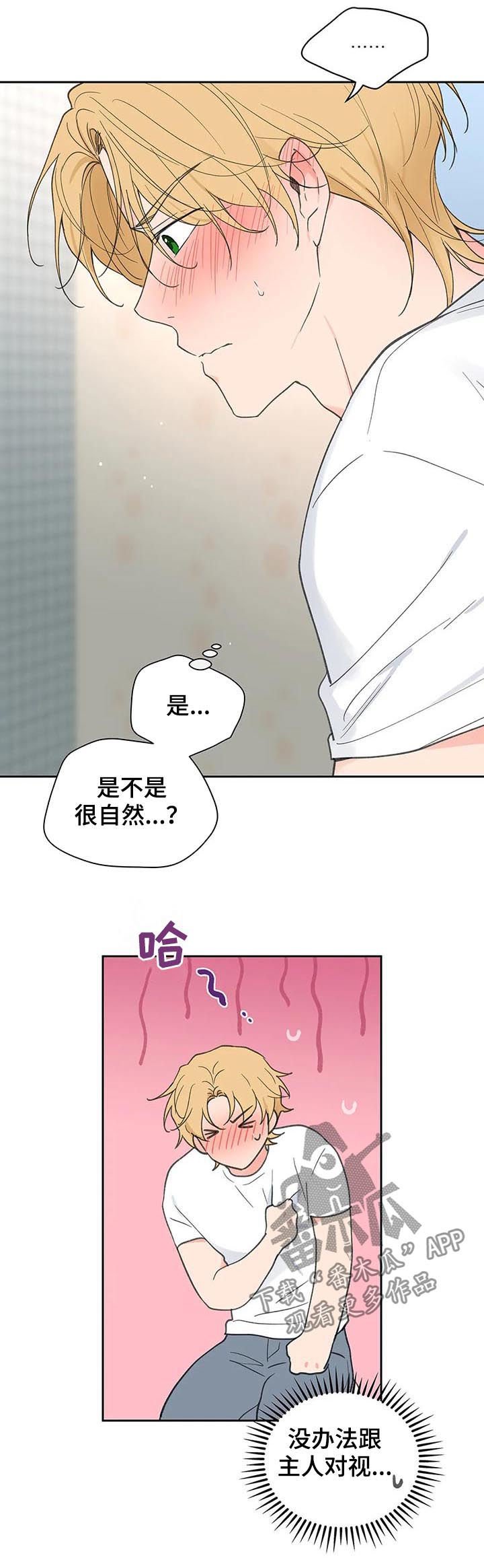 第98章：自责