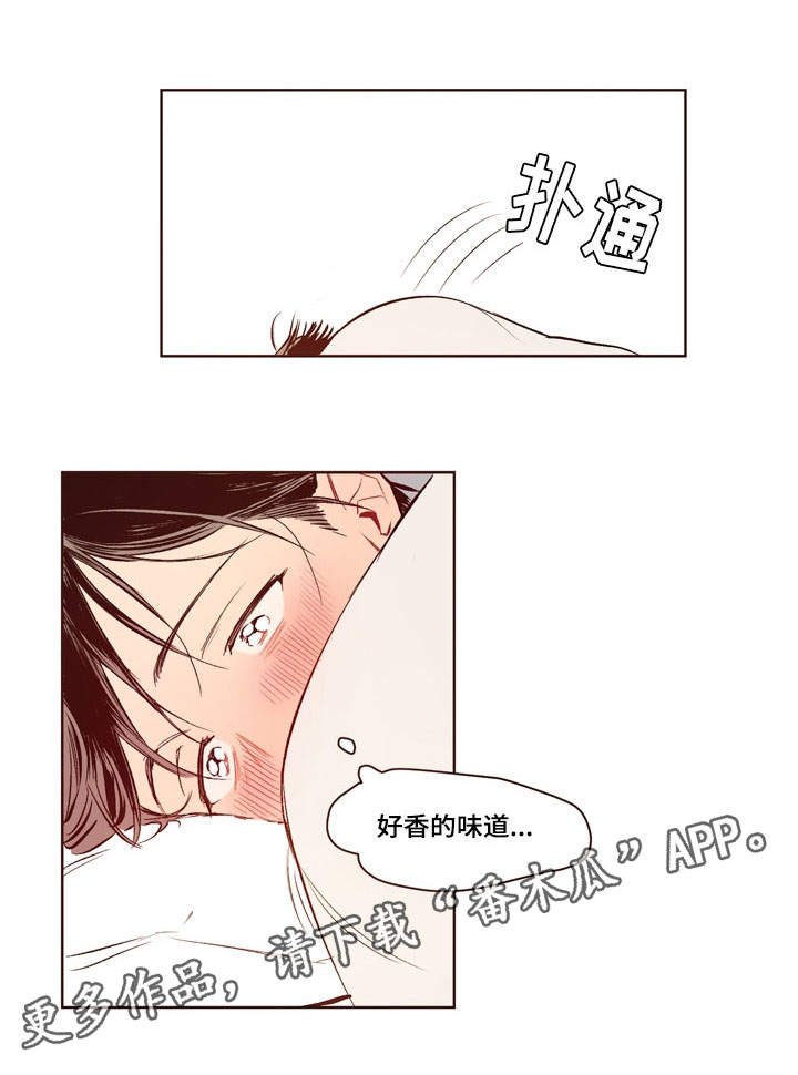 第13章：要求