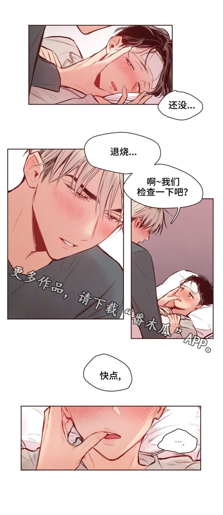 第15章：检查
