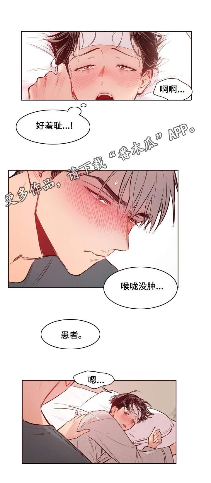 第15章：检查