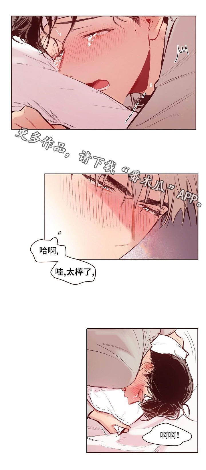 第15章：检查