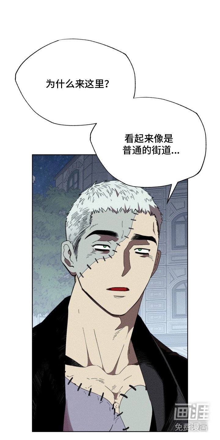 第10章：脑袋