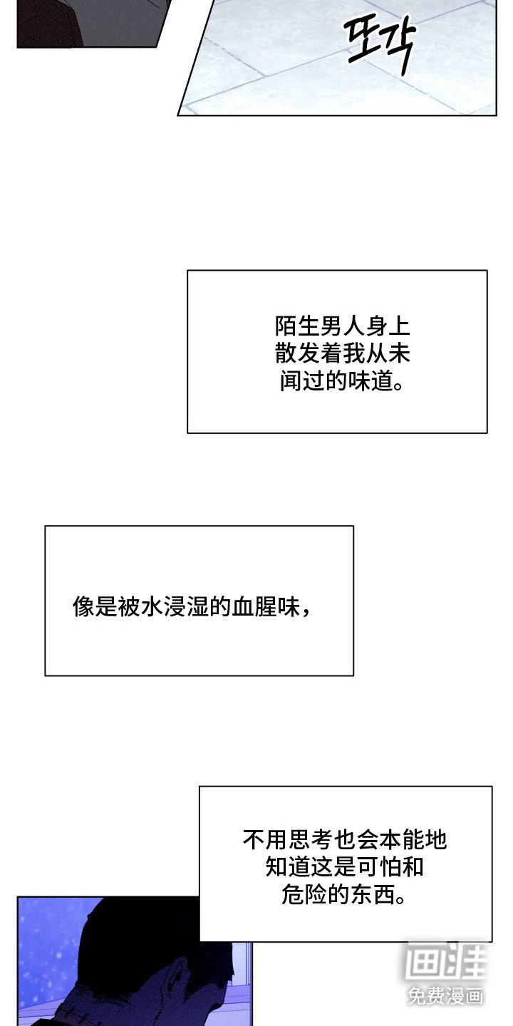 第10章：脑袋