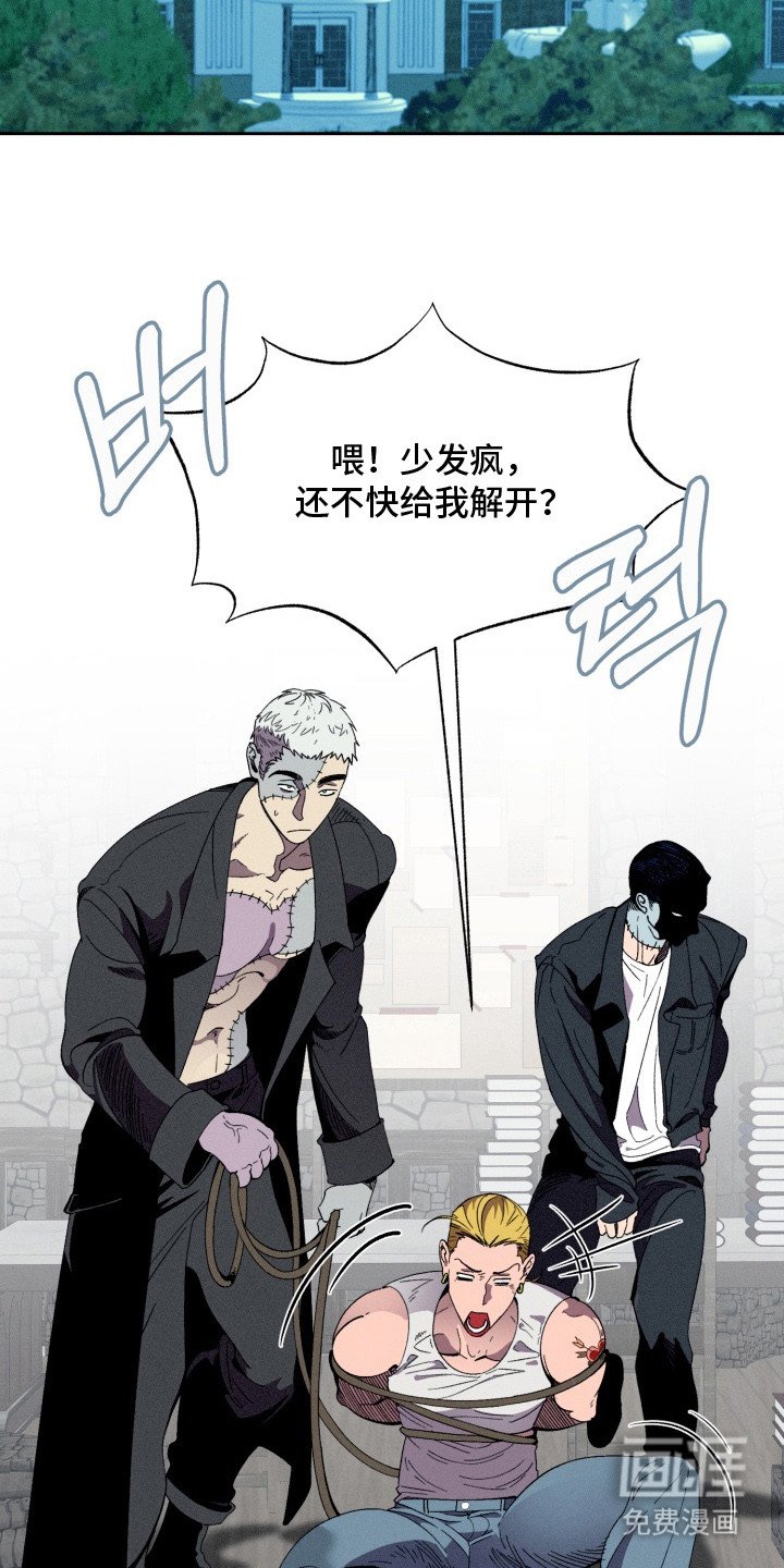 第11章：疯子
