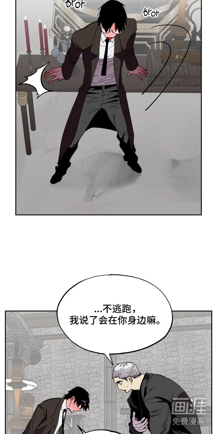 第11章：疯子