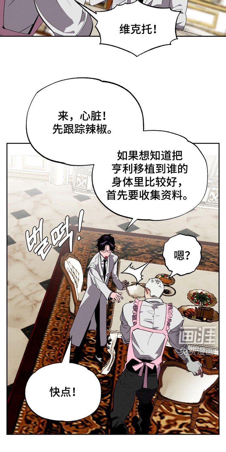 第17章：最爱