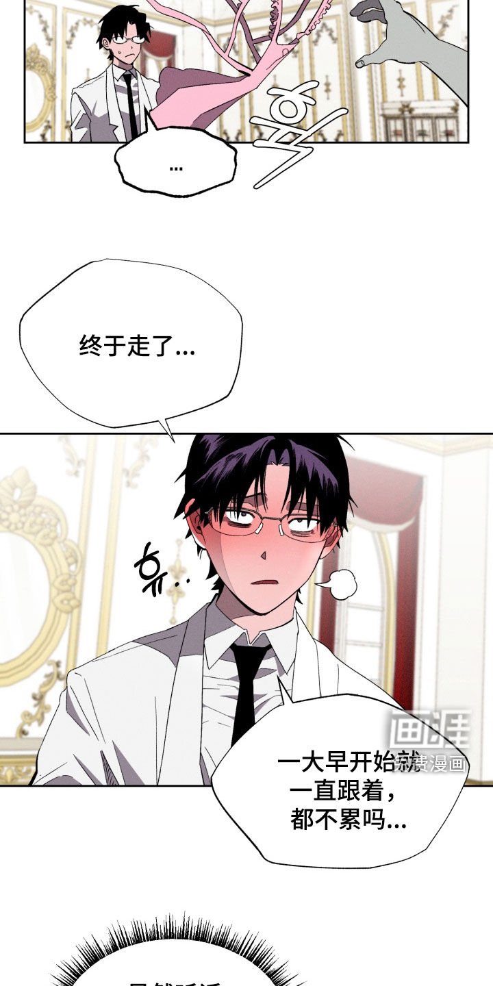 第17章：最爱
