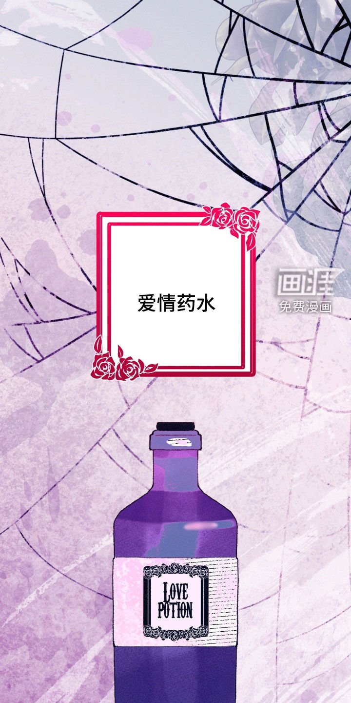 第20章：爱情药水