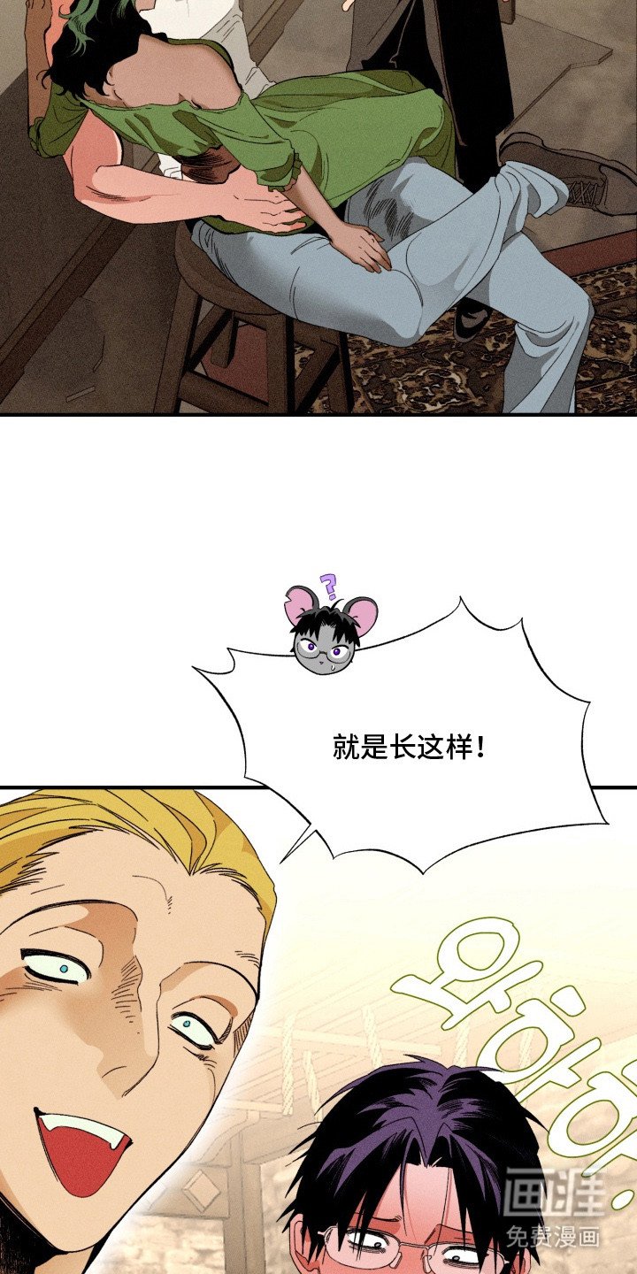 第4章：搜寻