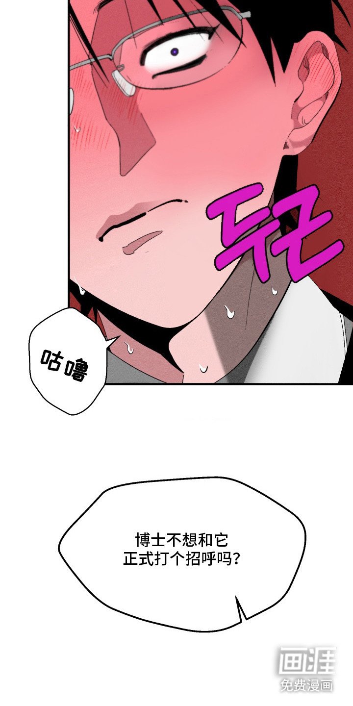 第5章：确认一下