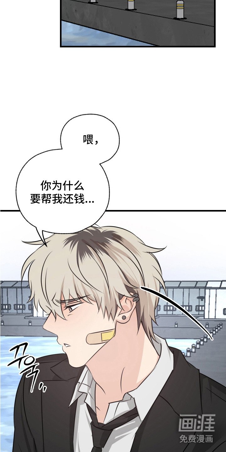 第16章：忘不掉（完结）