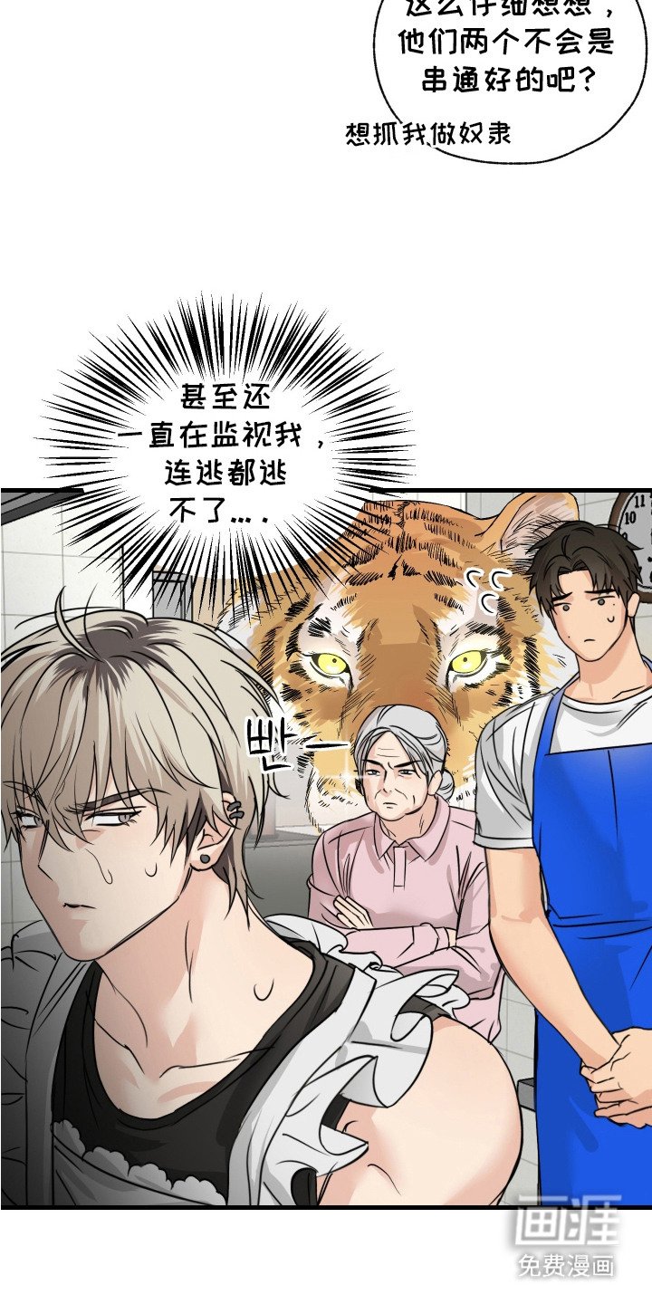 第5章：汗臭味