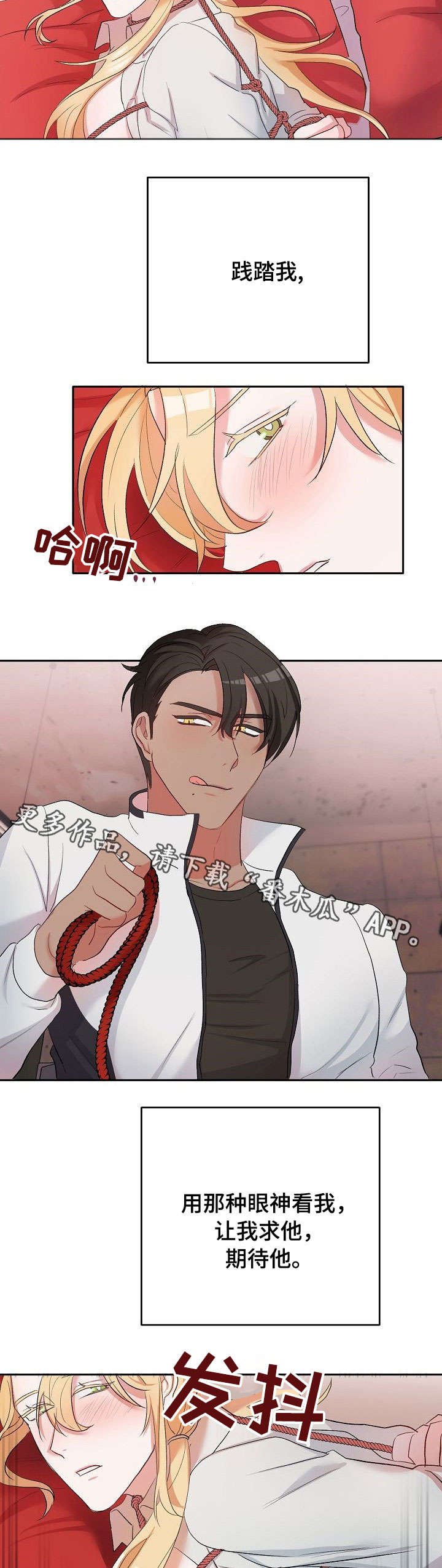 第11章：逛逛