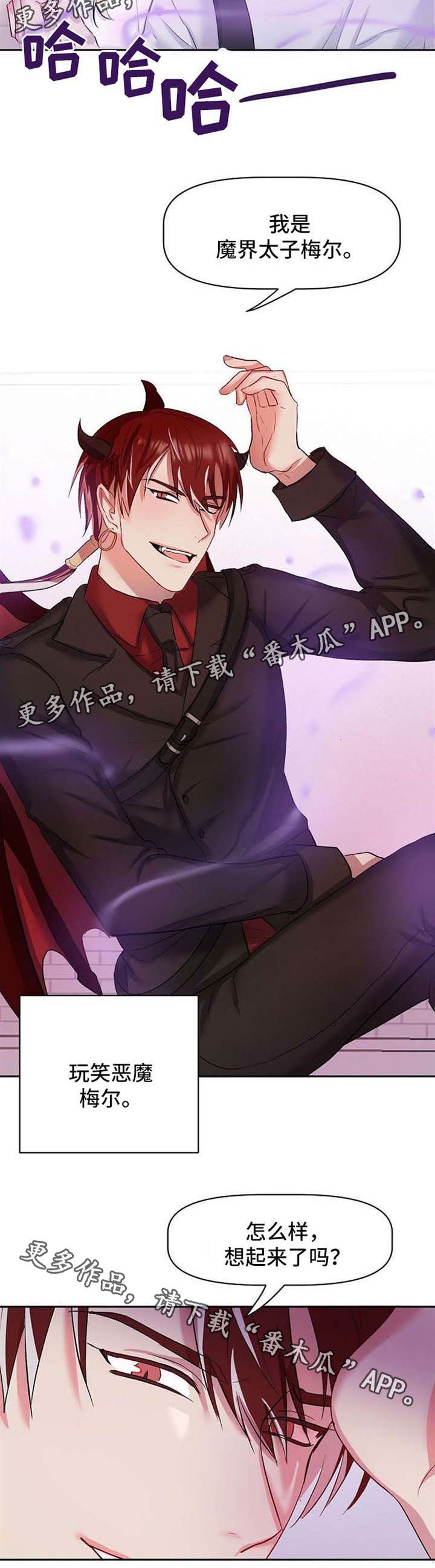 第26章：恶魔梅尔