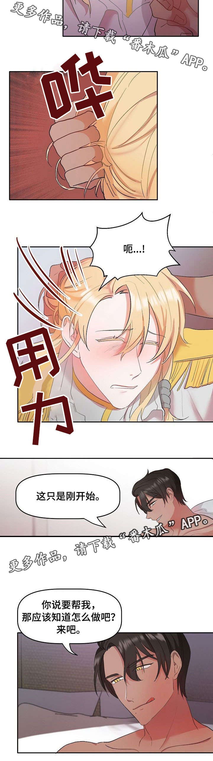 第3章：说明