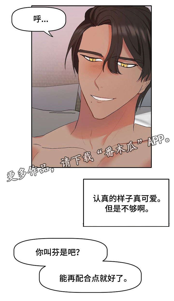 第3章：说明