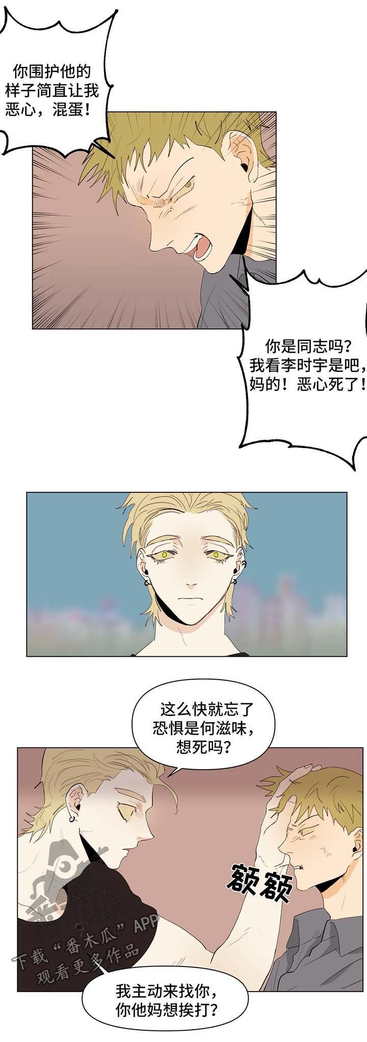 第31章：出彩的演出