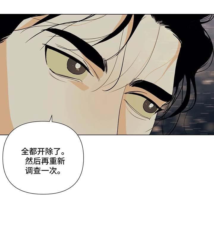 第35章：调查