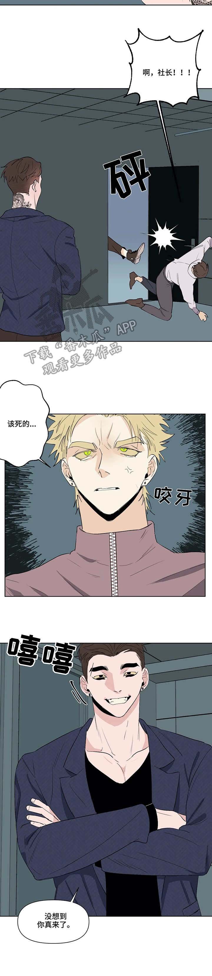第39章：来了