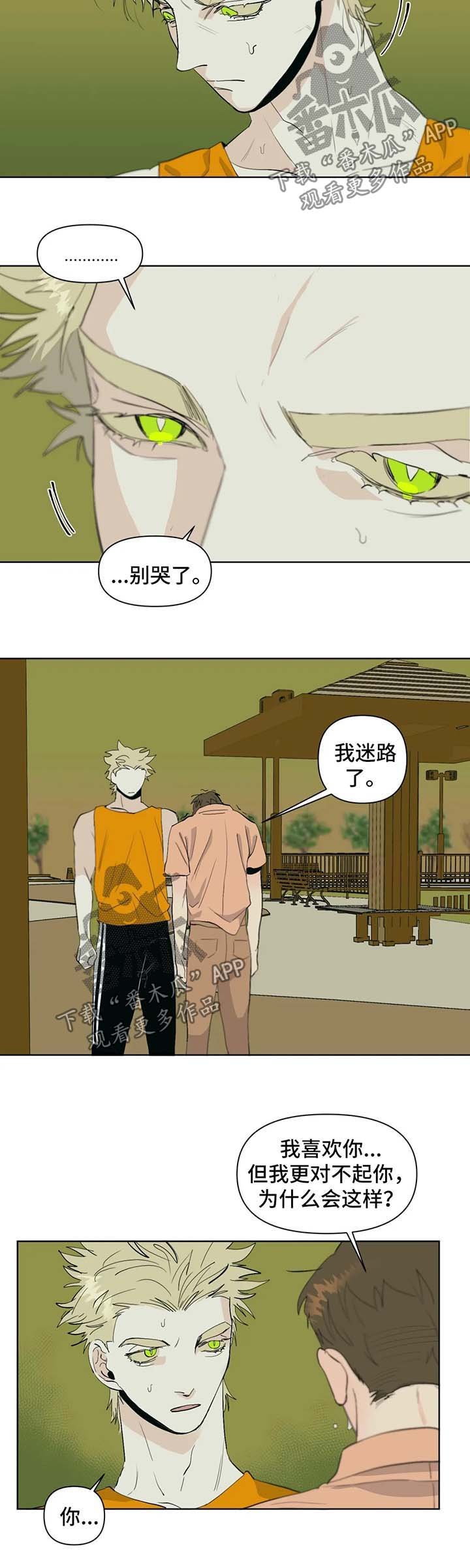 第41章：误会