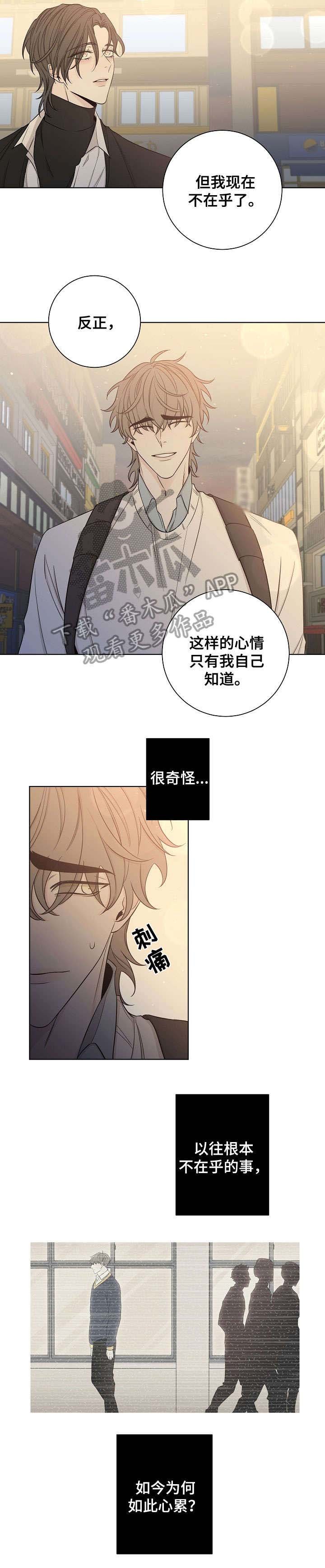 第46章：心累