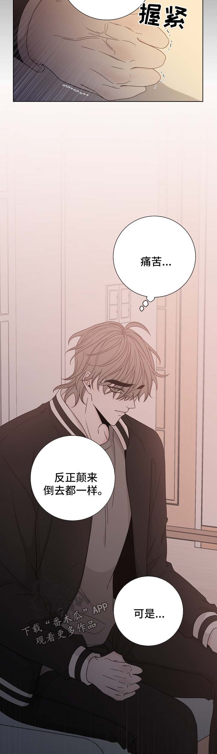 第60章：照片