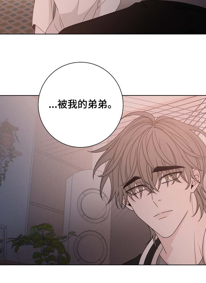 第62章：贪心