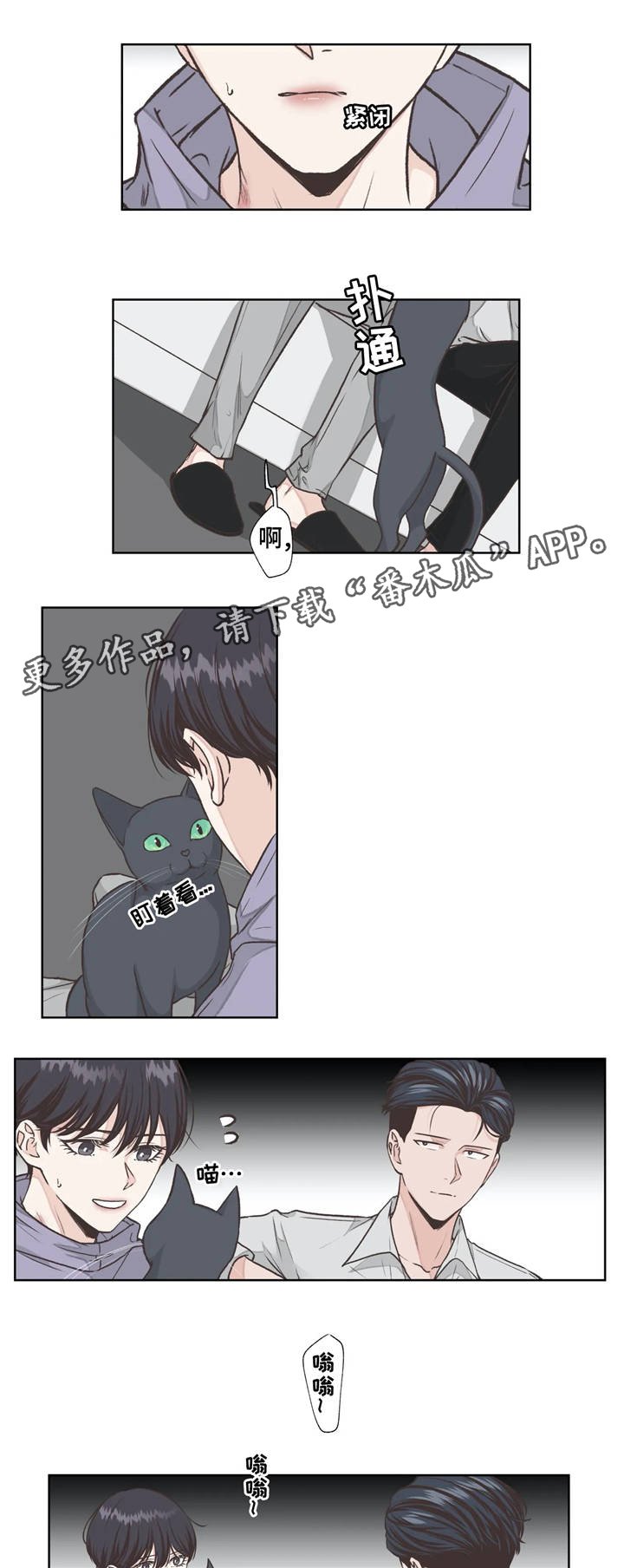 第16章：职业