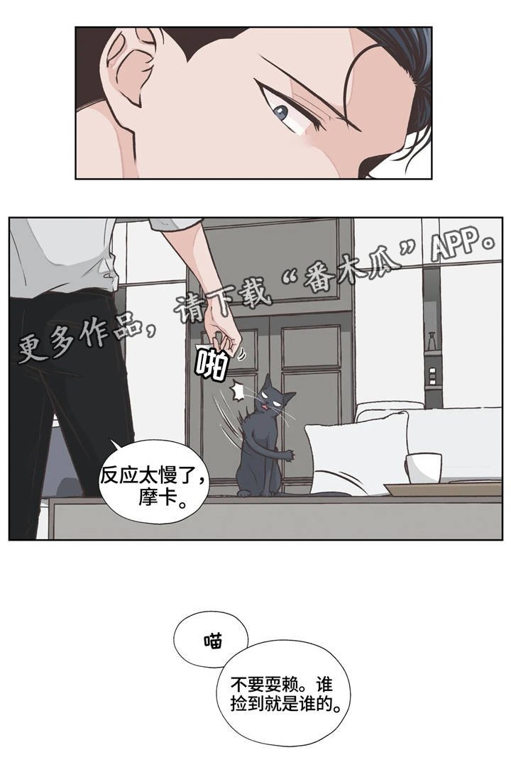 第16章：职业