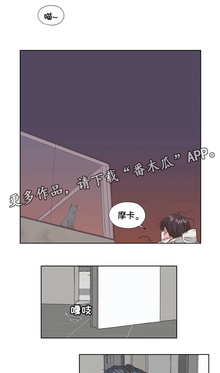 第18章：回忆