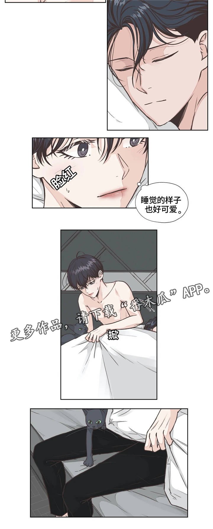 第19章：发现