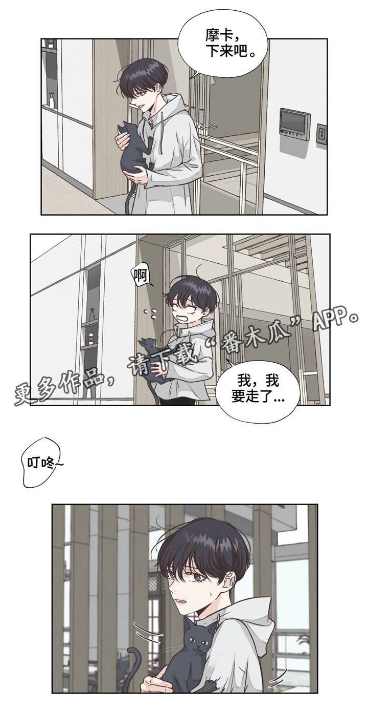 第19章：发现