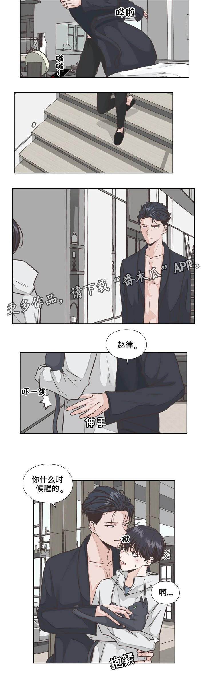 第19章：发现