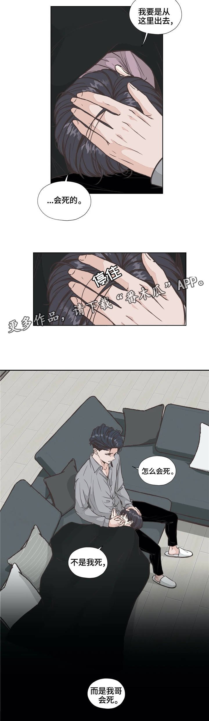第22章：生与死