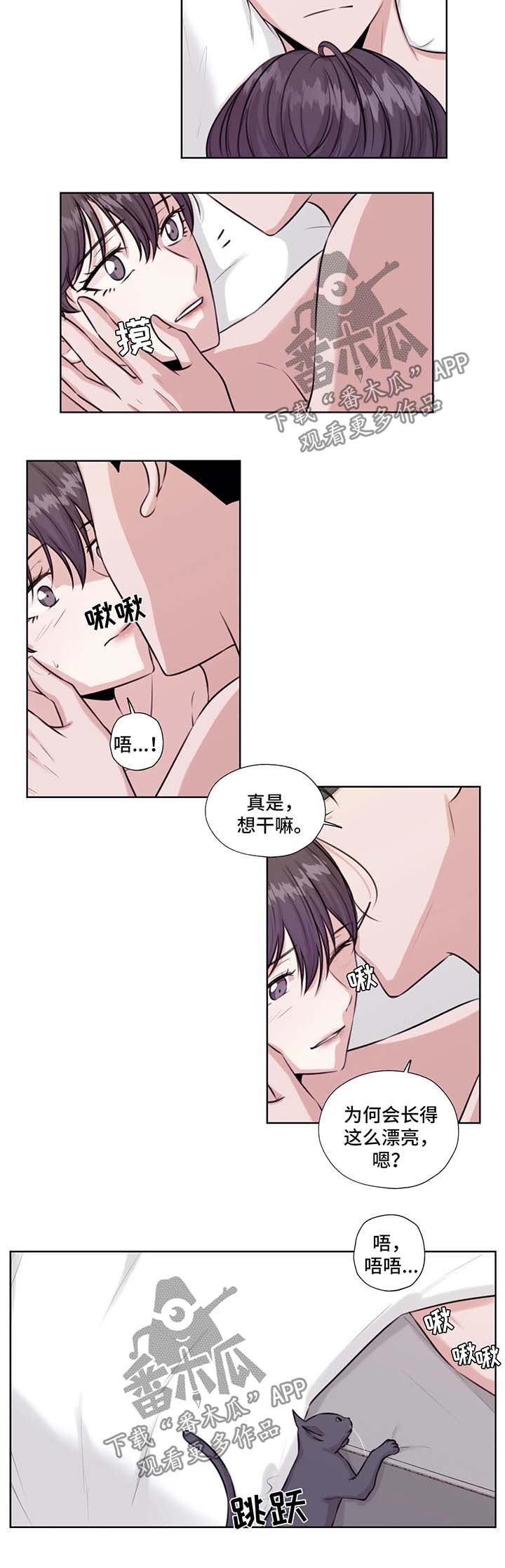 第39章：在这生活吧
