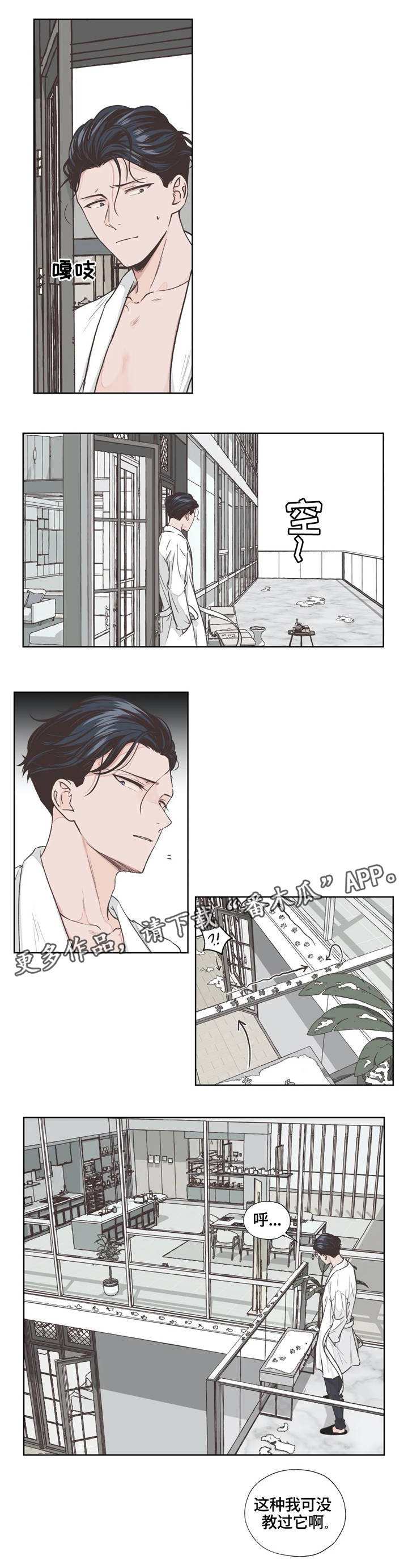 第4章：寻找