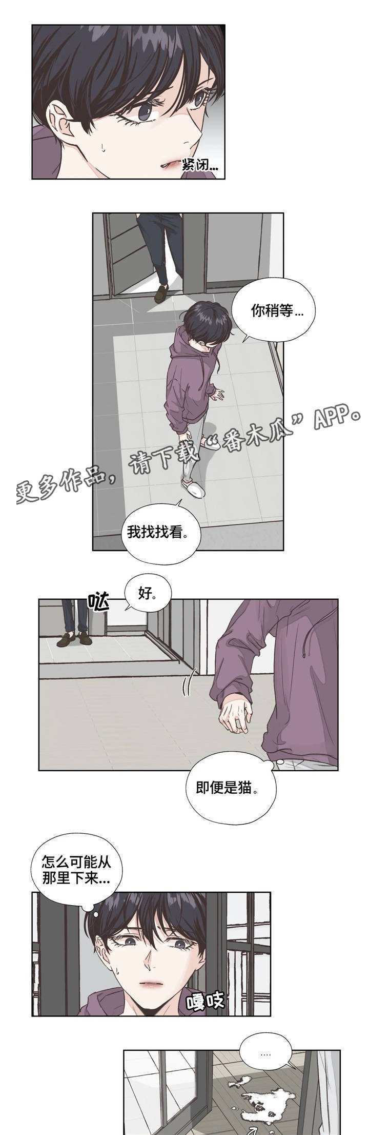 第4章：寻找