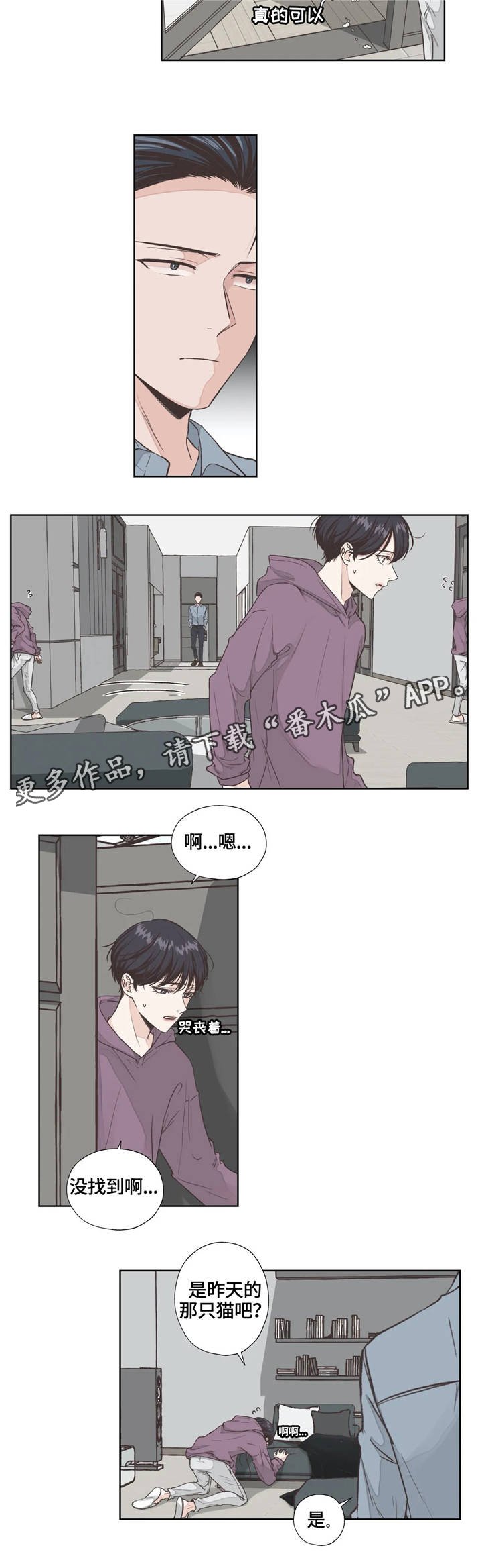 第4章：寻找