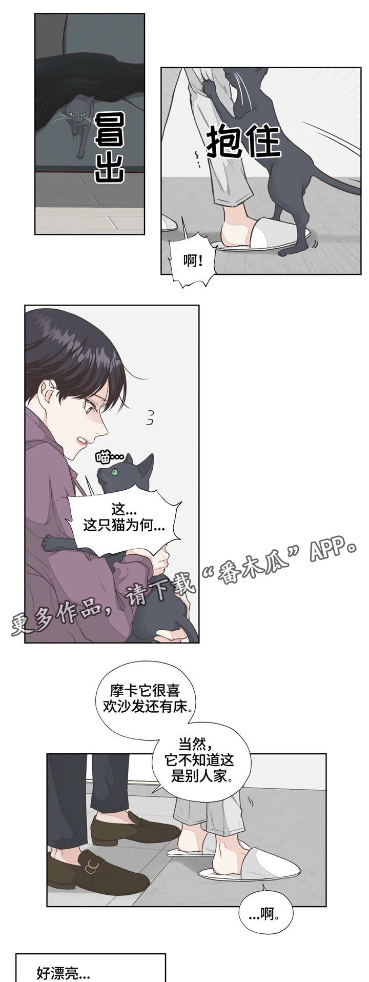 第4章：寻找