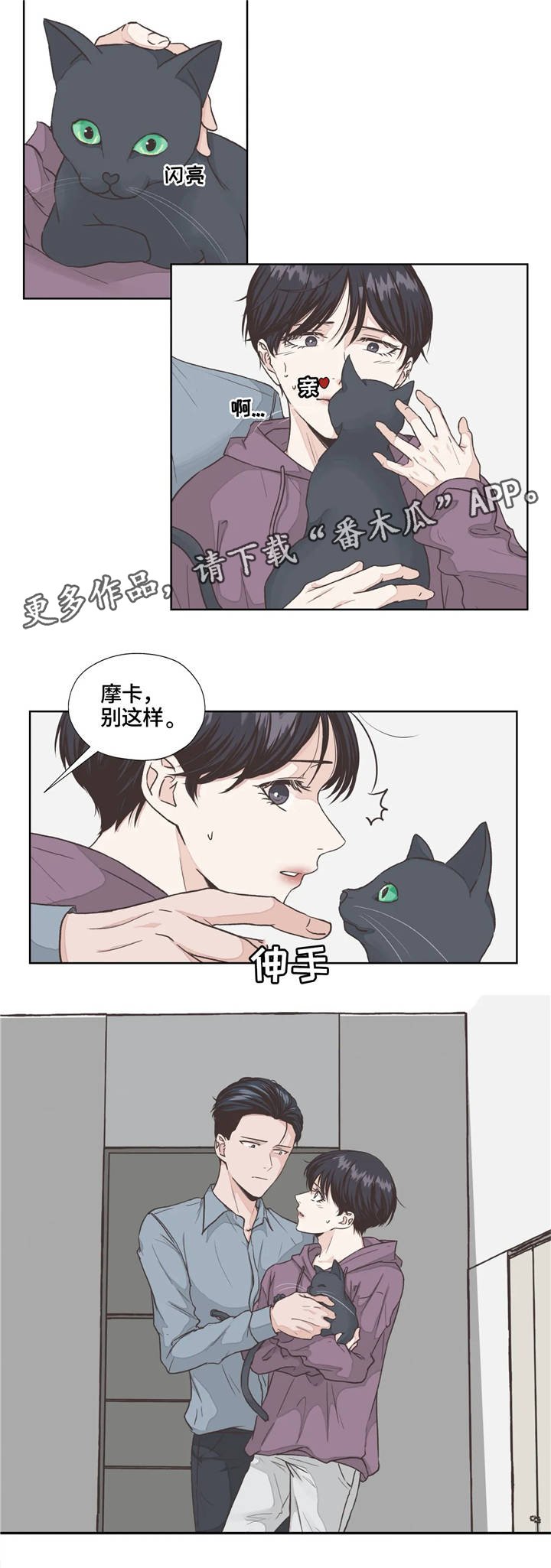 第4章：寻找