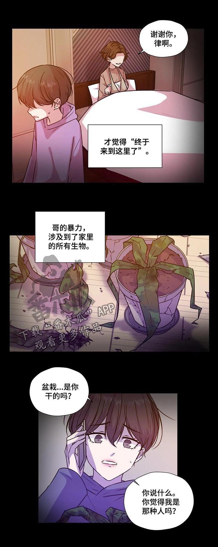 第96章：【第二季】怕你受伤