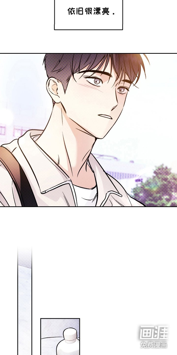 第11章：复合吗