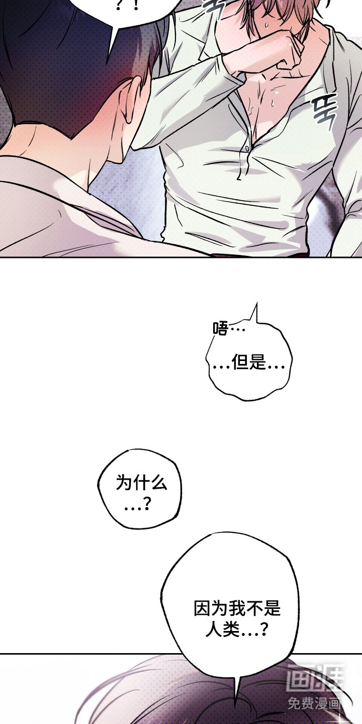 第12章：果然是同志