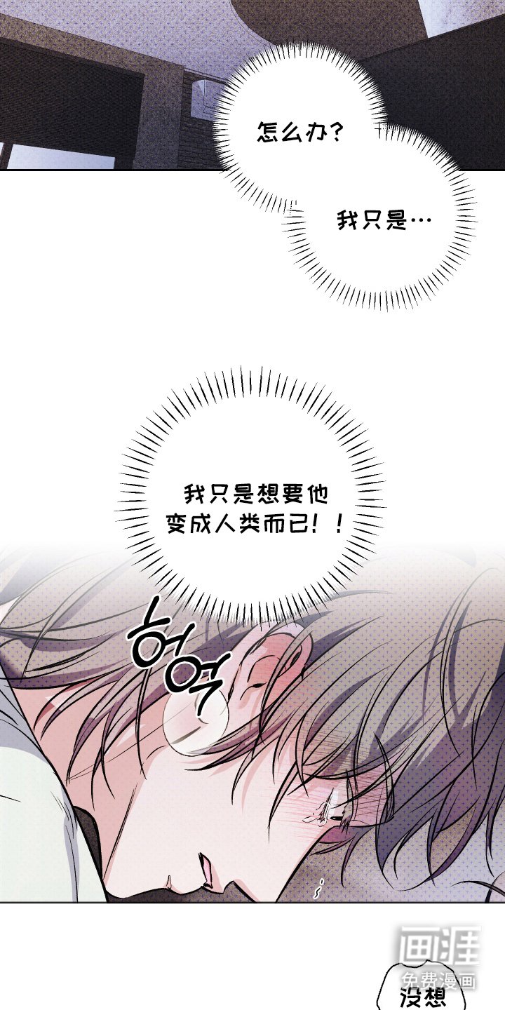 第14章：自己的方式