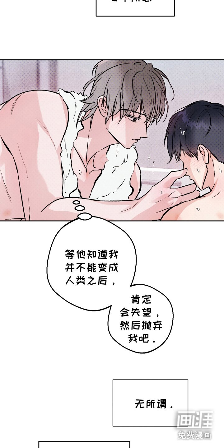 第15章：以前的事