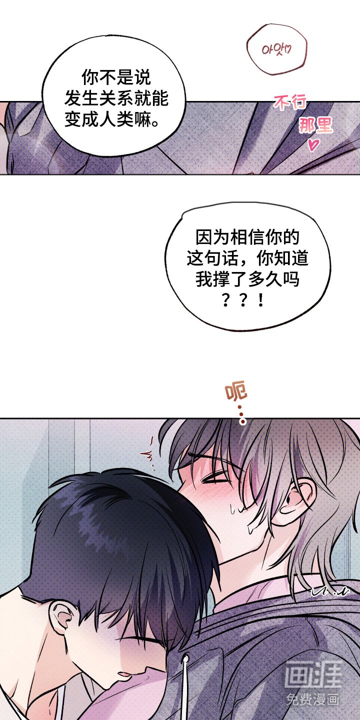 第16章：说谎