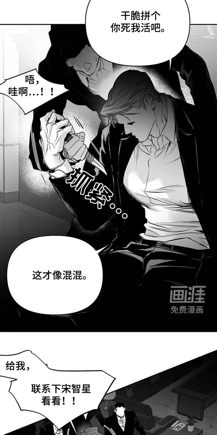 第143章：【第三季】拼个你死我活
