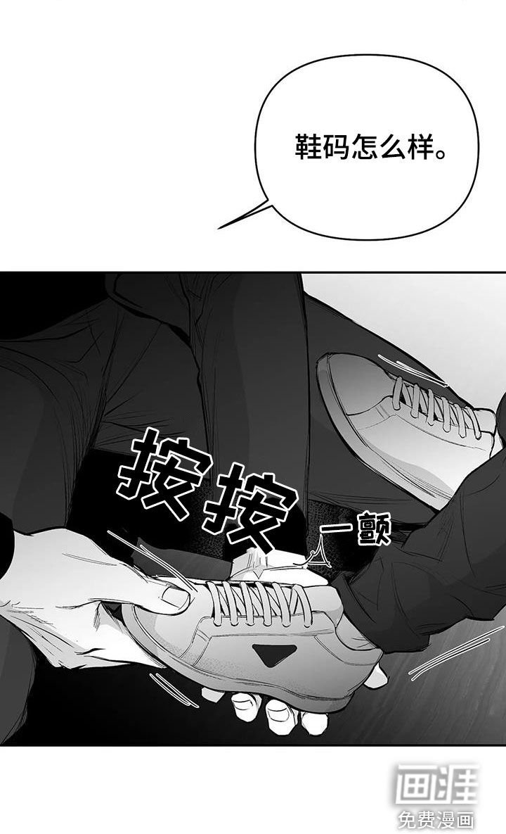 第159章：【第三季】试鞋