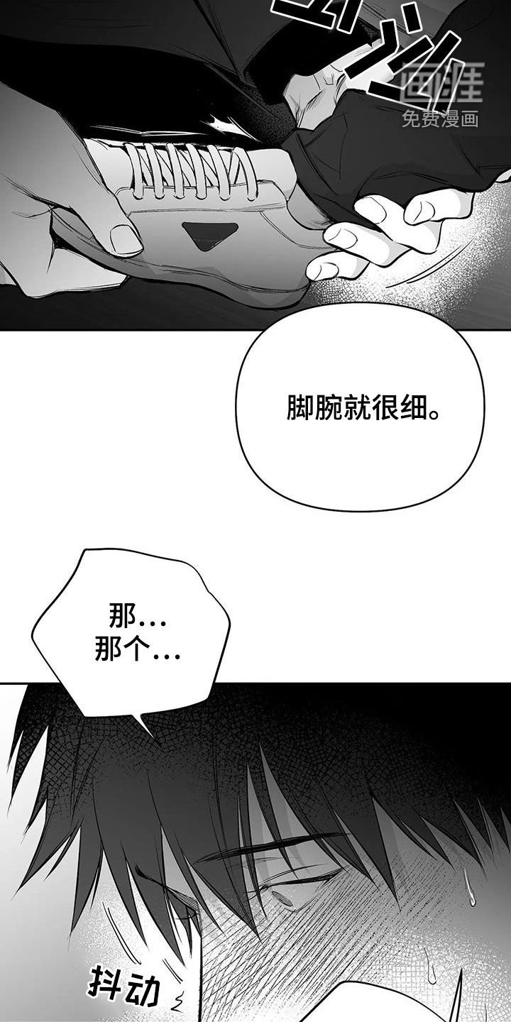 第160章：【第三季】你再多说点
