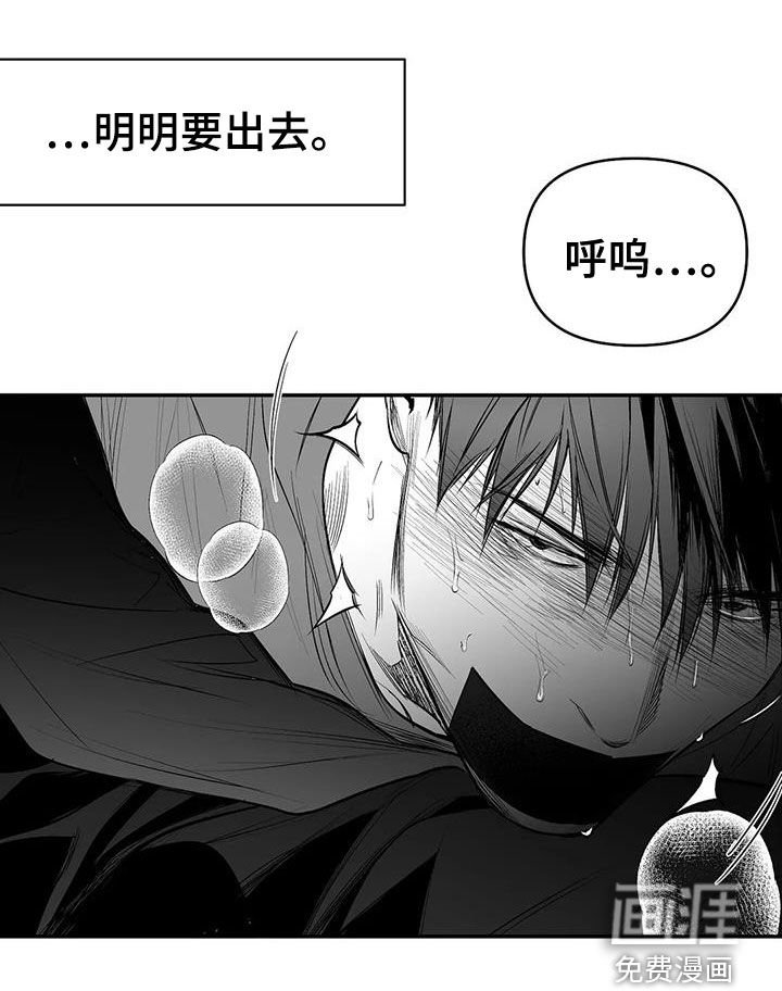 第167章：【第三季】上了贼船